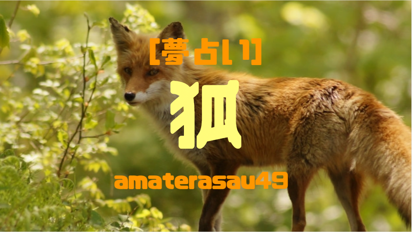 夢占い 狐が出て来る夢を見るのは幸運の証 狐が出て来る夢の意味を状況 アマテラスチャンネル